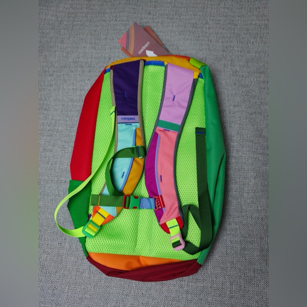 Cotopaxi Allpa 20L Logo Colorblock Backpack - Purple & Multicolor NWT - Picture 3 of 3